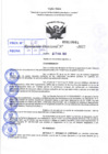 Vista preliminar de documento R.D 0601-2022
