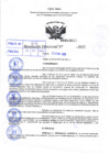 Vista preliminar de documento R.D 0617-2022