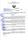 Vista preliminar de documento R.D 0877-2022