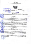 Vista preliminar de documento R.D 0883-2022