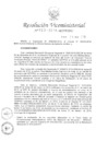 Vista preliminar de documento RVM N° 133-2019-MINEDU