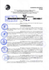 Vista preliminar de documento R.D 0930-2022
