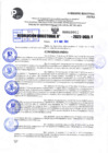 Vista preliminar de documento R.D 0943-2022