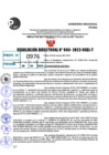 Vista preliminar de documento R.D 0963-2022