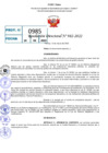 Vista preliminar de documento R.D 0982-2022