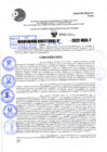Vista preliminar de documento R.D 1002-2022