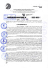 Vista preliminar de documento R.D 1007-2022