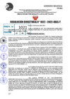 Vista preliminar de documento R.D 1022- 2022
