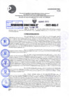 Vista preliminar de documento R.D 1031- 2022