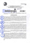 Vista preliminar de documento R.D 1030- 2022