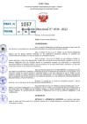 Vista preliminar de documento R.D 1036- 2022