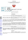 Vista preliminar de documento R.D 1055-2022