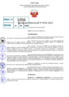 Vista preliminar de documento R.D 1056-2022