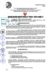 Vista preliminar de documento R.D 1063-2022