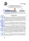 Vista preliminar de documento R.D 1066-2022