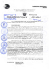 Vista preliminar de documento R.D 1069-2022