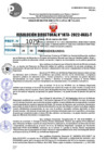 Vista preliminar de documento R.D 1073-2022
