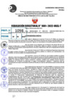 Vista preliminar de documento R.D 1081-2022