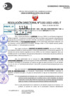 Vista preliminar de documento R.D 1132-2022