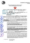Vista preliminar de documento R.D 1135-2022