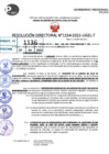 Vista preliminar de documento R.D 1134-2022