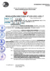 Vista preliminar de documento R.D 1133-2022
