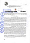 Vista preliminar de documento R.D 1145-2022