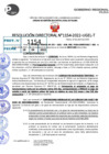 Vista preliminar de documento R.D 1154-2022