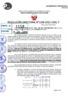 Vista preliminar de documento R.D 1156-2022