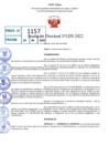 Vista preliminar de documento R.D 1155-2022
