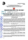 Vista preliminar de documento R.D 1162-2022