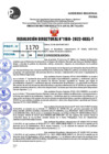 Vista preliminar de documento R.D 1168-2022