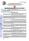 Vista preliminar de documento R.D 1173-2022