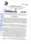 Vista preliminar de documento R.D 1175-2022