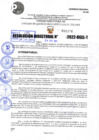 Vista preliminar de documento R.D 1176-2022