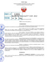 Vista preliminar de documento R.D 1184-2022