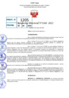 Vista preliminar de documento R.D 1188-2022