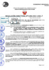 Vista preliminar de documento R.D 1196-2022