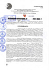 Vista preliminar de documento R.D 1209-2022