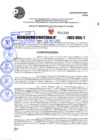 Vista preliminar de documento R.D 1208-2022