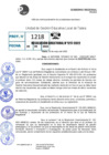 Vista preliminar de documento R.D 1217-2022