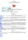 Vista preliminar de documento R.D 1229-2022