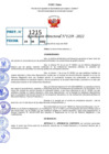 Vista preliminar de documento R.D 1239-2022