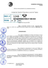 Vista preliminar de documento R.D 1238-2022