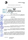 Vista preliminar de documento R.D 1240-2022