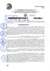 Vista preliminar de documento R.D 1244-2022
