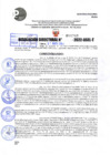 Vista preliminar de documento R.D 1246-2022