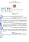 Vista preliminar de documento R.D 1245-2022