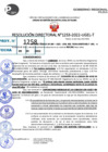 Vista preliminar de documento R.D 1253-2022