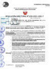Vista preliminar de documento R.D 1255-2022